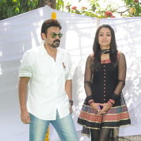 Venky and Trisha New Movie Launch Stilss | Picture 33969